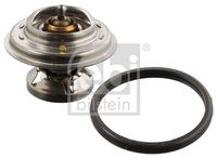 Thermostat, Kühlmittel