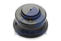 PISTON PERNA DE AER