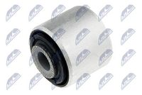 тампон, носач