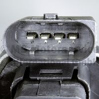 Article Picture