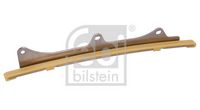 Gleitschiene, Steuerkette