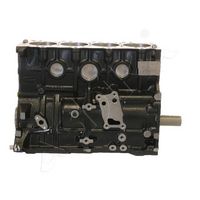 Motor,excluzand accesoriile ASHIKA, Cod: MI005F