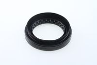 Wellendichtring, Differential