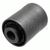 тампон, носач