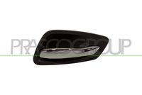 Mâner usa, echipare interioara PRASCO, Cod: BM0258401