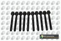 Set surub, chiulasa BGA, Cod: BK0102