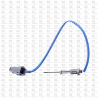 Sensor, Abgastemperatur