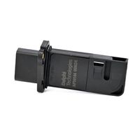 DELPHI Luchtmassameter 6