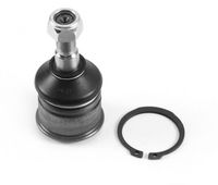 Trag-/Führungsgelenk