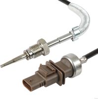 Sensor, Abgastemperatur