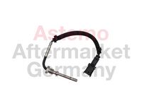 Sensor, Abgastemperatur