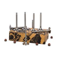 Thumbnail - Kleppenset, in-/uitlaatklep - VS0009 - ET ENGINETEAM