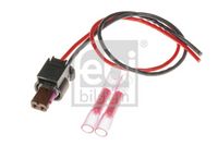 Stecker