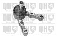 Trag-/Führungsgelenk