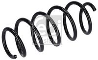 Suspension Spring
