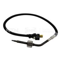 Sensor, Abgastemperatur