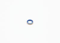 Blīve, Pamatlukturu rāmis