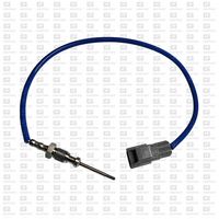 Sensor, Abgastemperatur