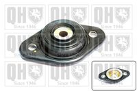 Federbeinstützlager