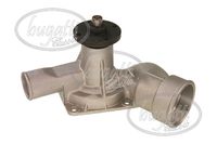 Wasserpumpe, Motorkühlung