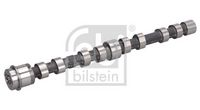 Article Picture