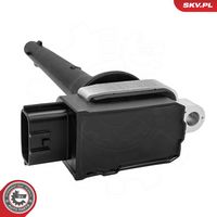 Article Picture