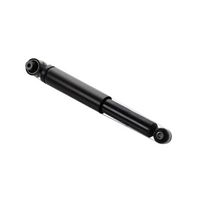 Amortizor CTR, Cod: GY2896G
