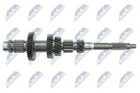 Article Picture