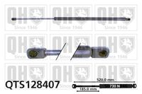 Gasfeder, Koffer-/Laderaum