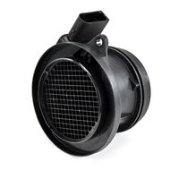 DELPHI Luchtmassameter 6