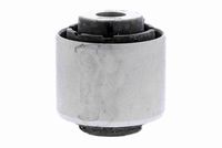 тампон, носач