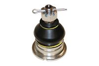 Trag-/Führungsgelenk