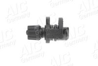 CAPAC FLANSA SISTEM DE RACIRE