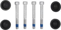 Article Picture