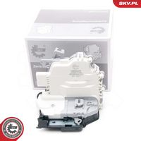 Article Picture
