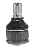 Trag-/Führungsgelenk