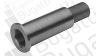 LAGERZAPFEN SPANNROLLENHEBEL