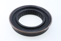 Shaft Seal, differential