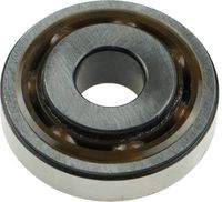 Wälzlager, Federbeinstützlager