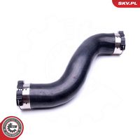 Article Picture