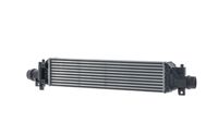 Thumbnail - Intercooler, inlaatluchtkoeler - CI690000S - MAHLE