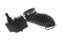 Radiator Hoses