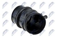 Article Picture