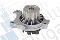 Wasserpumpe, Motorkühlung