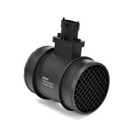 DELPHI Luchtmassameter 5