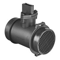 Μετρητής μάζας αέρα