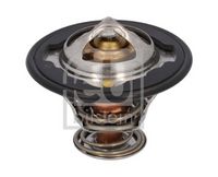 Thermostat, Kühlmittel