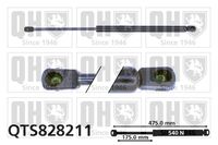 Gasfeder, Koffer-/Laderaum