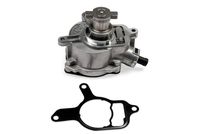 HEPU Onderdrukpomp, remsysteem 1