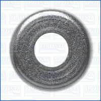 DICHTRING ZYLINDERKOPFHAUBE